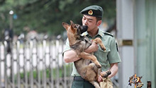 为功勋老犬建安置所