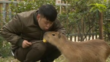 海涛美食诱惑水豚妹妹主动送吻