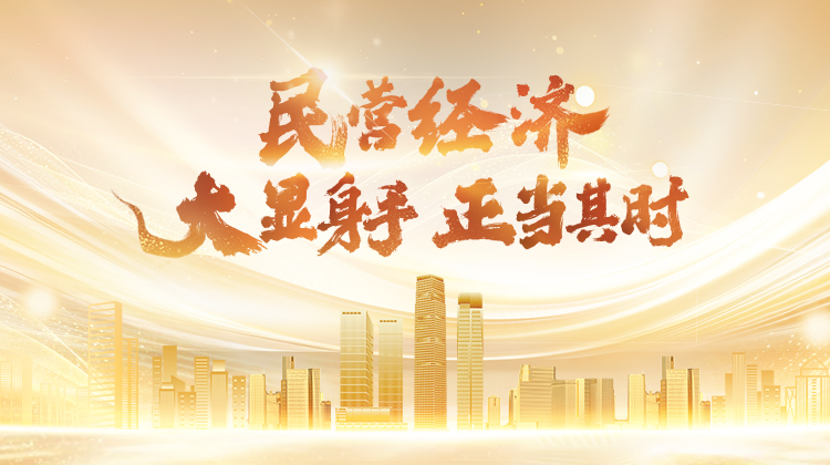 民营经济 大显身手 正当其时
